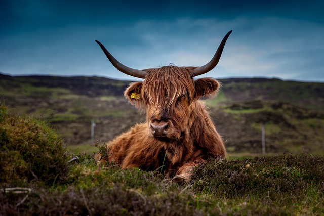 Highland Hotels for Scotland Routes